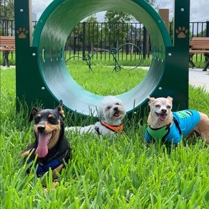 Meet your Posher, Paula